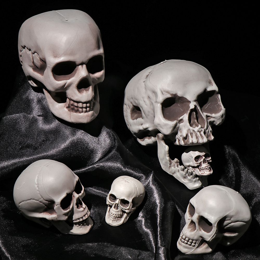 All Size Human Skull Head Skel - огляд і ціна Party Games At Home