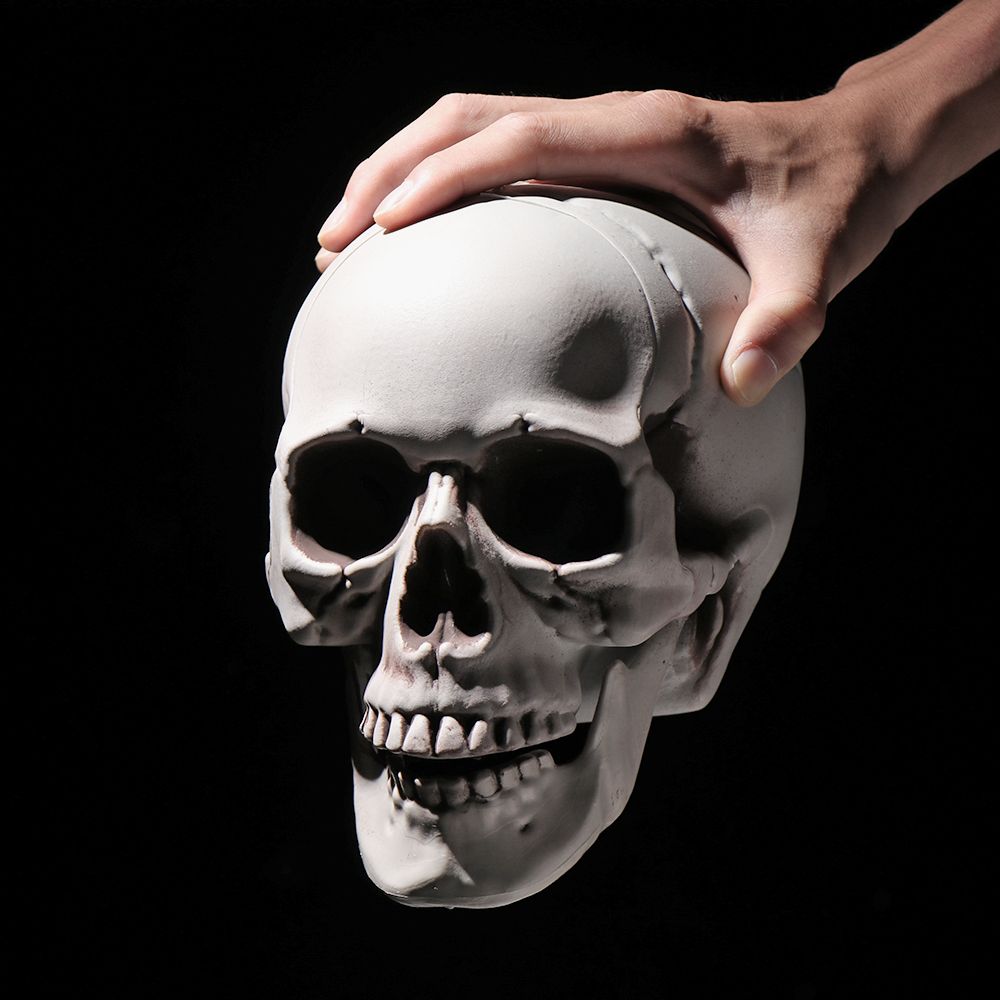 All Size Human Skull Head Skel - огляд і ціна Party Games At Home