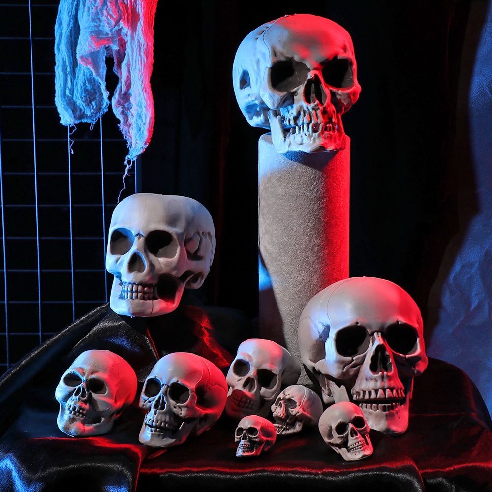 All Size Human Skull Head Skel - огляд і ціна Party Games At Home