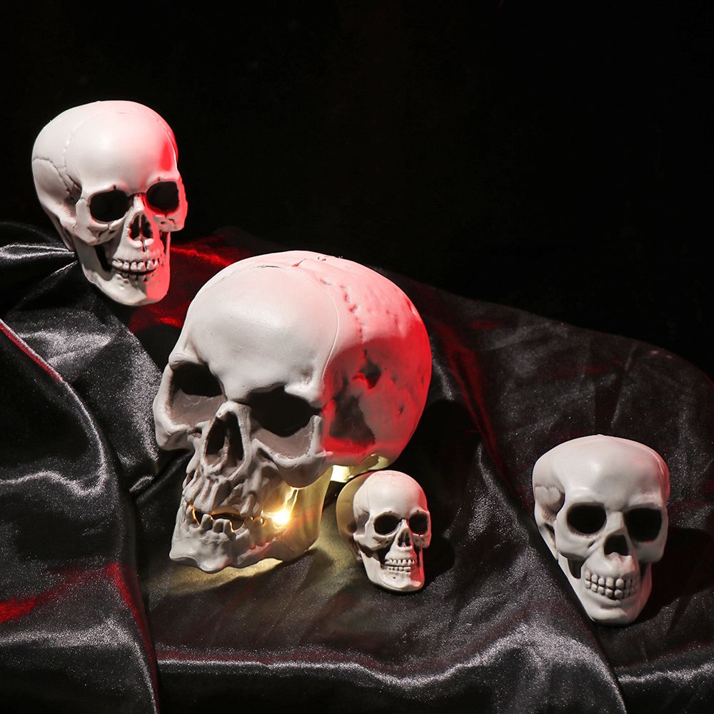 All Size Human Skull Head Skel - огляд і ціна Party Games At Home